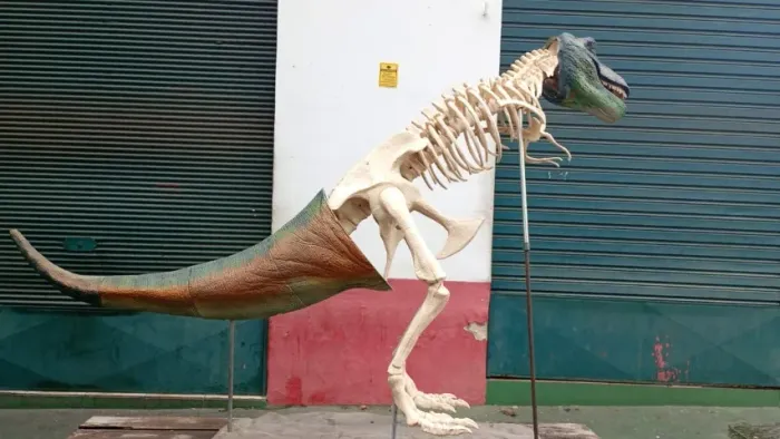 Tiranossauro REX de 190 cm comprimento por 120 cem de altura.