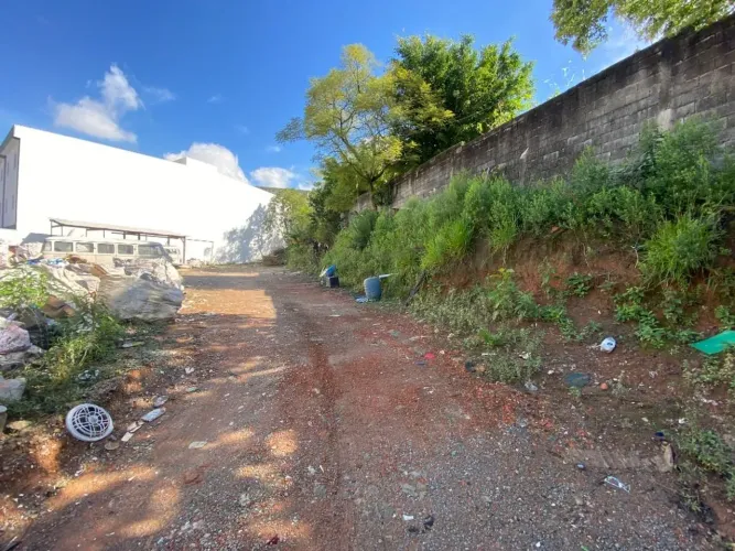 Terreno à venda, 562 m² por R$ 1.250.000,00 - Vila Palmares - Santo André/SP