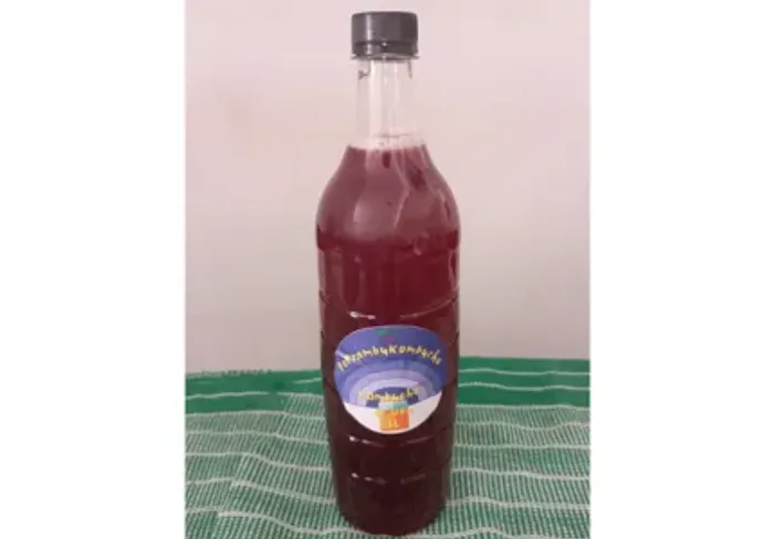 Kombucha vários sabores