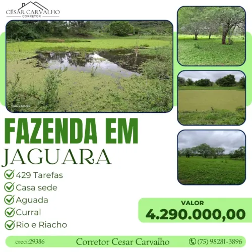 FAZENDA EM JAGUARA - 429 TAREFAS