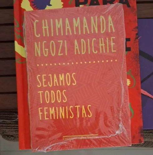 Sejamos todos feministas - Chimamanda