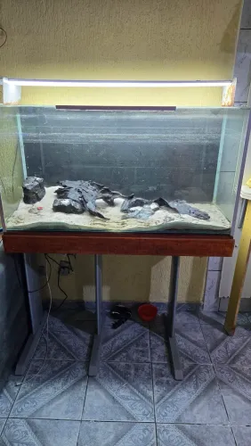 Aquario 400 litros
