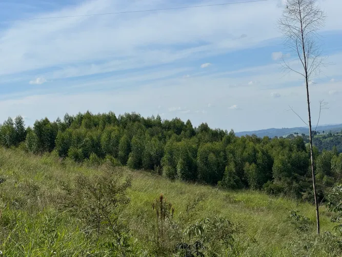 Vendo fazenda no diamante Piumhi