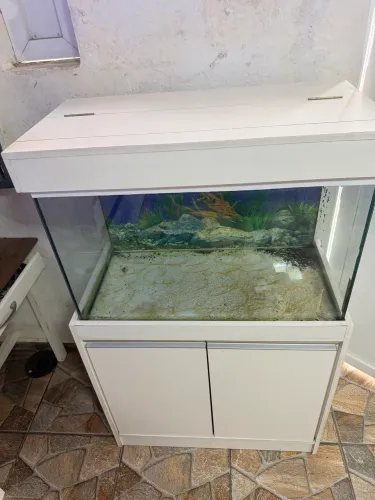 Aquário 160 litros com gabinete