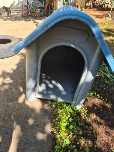 Casinha para cachorro porte médio 