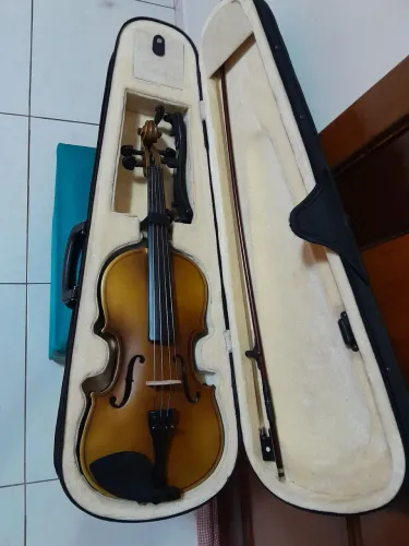 Violino 4x4