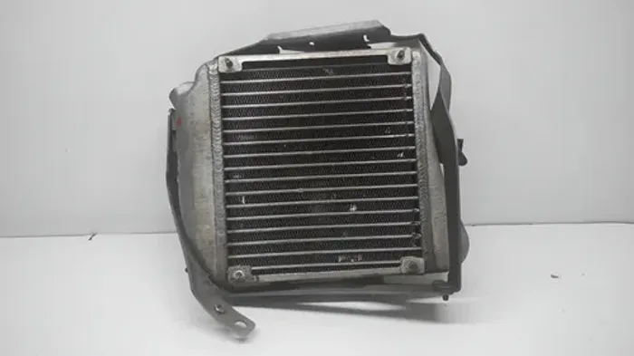 Radiador Óleo Mercedes Cls63 Amg 6.3 2007 2009 A2115041940