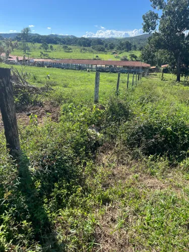 Contrato ajudante geral. Não fume. Para lago norte e Luziânia.