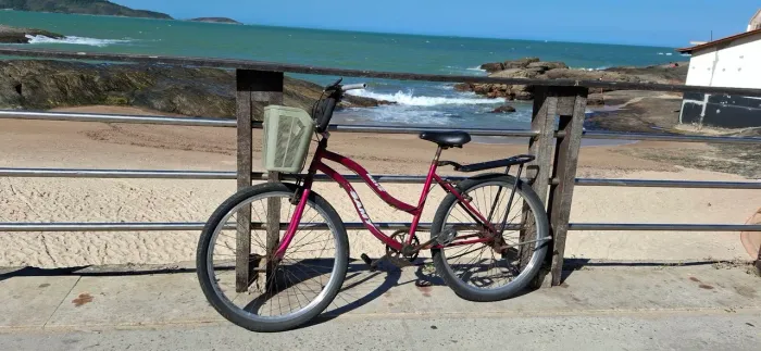 Bicicleta aro26