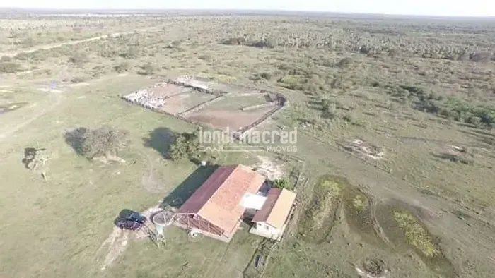 Fazenda Santa Isabel no Chaco Paraguaio por 750 dólares por hectare, com 6.581 hectares e