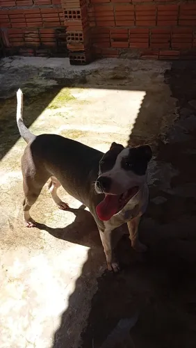 Doação 