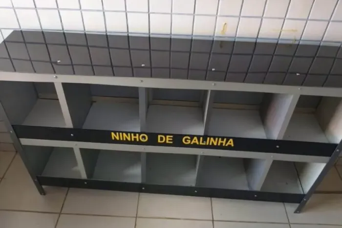 Ninho de galinha 