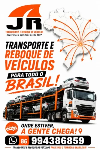 CEGONHA TRANSPORTE DE VEÍCULOS 