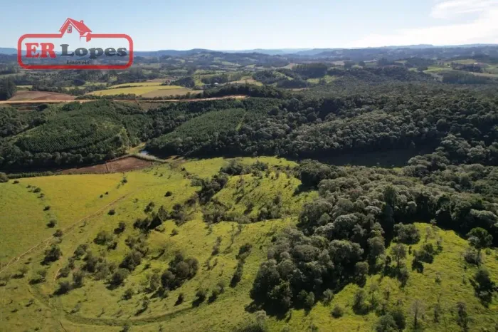 Sítio com 2 dormitórios à venda, 808921 m² por R$ 4.250.000,00 - Área Rural - Taió/SC