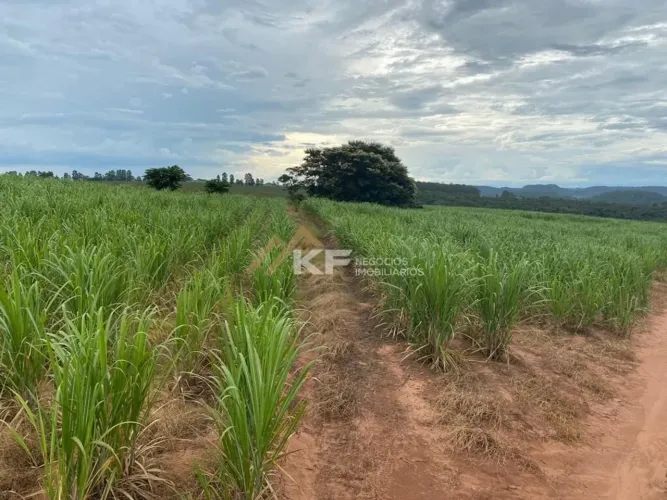 Fazenda á venda na Região de Ribeirão Bonito/SP