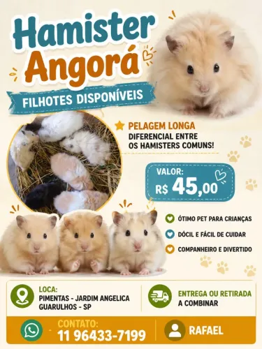 Hamister Angorá 