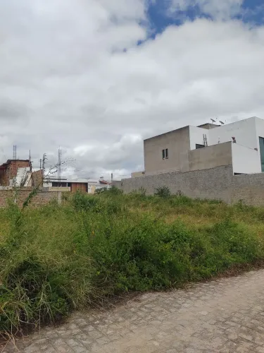Lote no Chico Lemos - O melhor de Bezerros