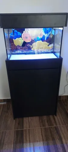 Aquario 72 Litros + Movél