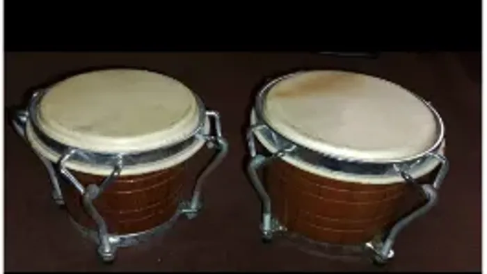 Bongô