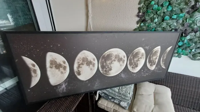 Quadro Fases da Lua