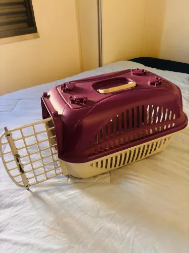 Caixa transporte para pet médio
