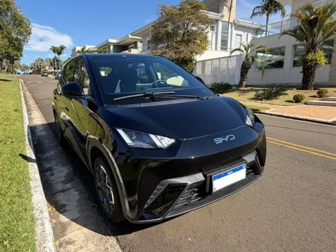 BYD Dolphin Mini (Elétrico) 2024