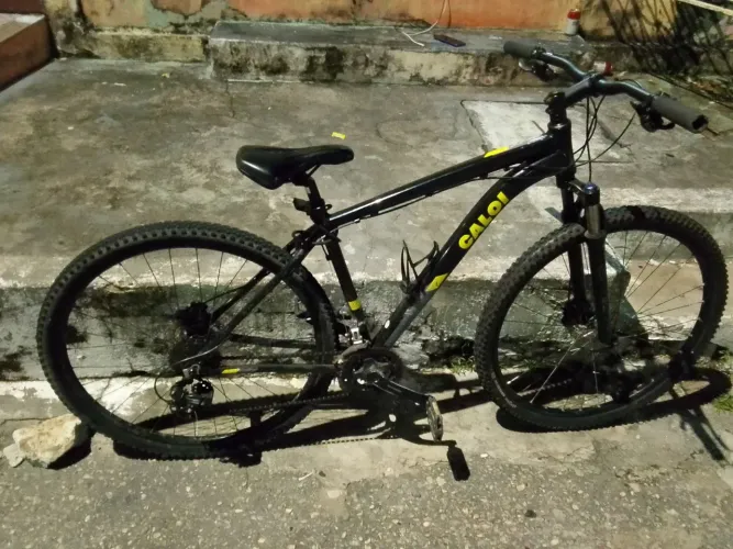 Bicicleta