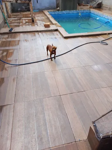 Pincher 2.0
