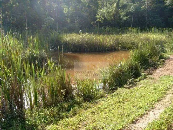Preço Abaixo do Mercado: Fazenda de 130 Alqueires em Areias/SP por R$ 35 mil/alqueire