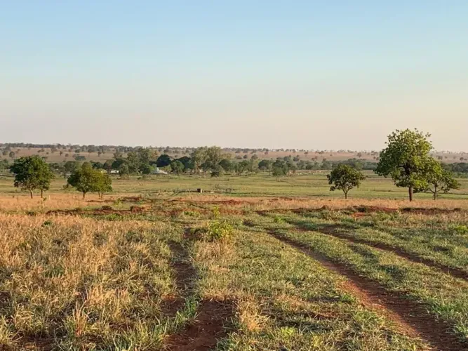 Imóvel para venda possui 512 metros quadrados com 3 quartos em Zona Rural - Ribas do Rio P