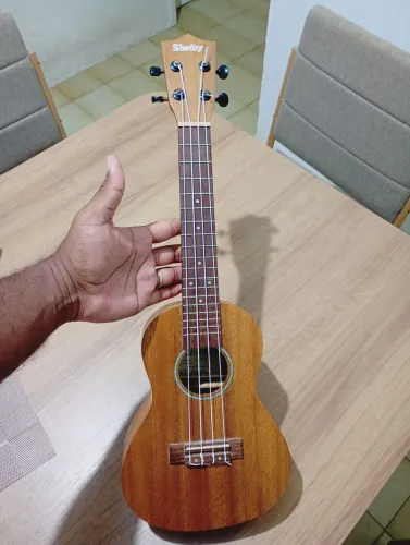 Ukulele Shelby concert