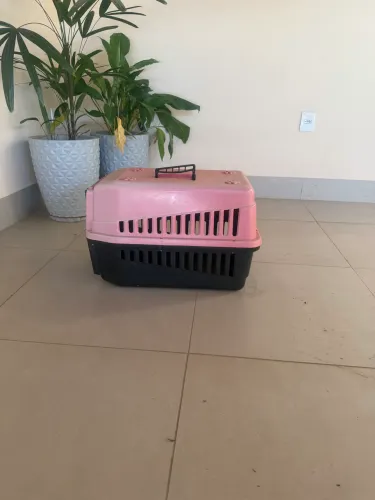 Caixa transportadora de cães e gatos 54cm X 38cm