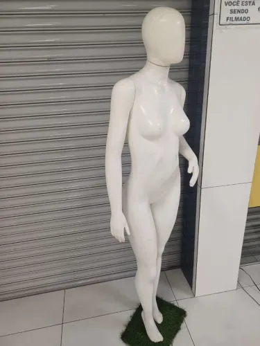 Manequim feminino corpo definido com braço articulado- material plástico R$ 170