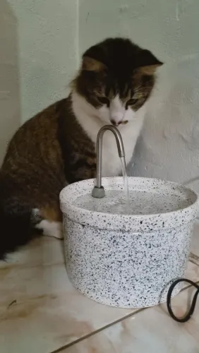 Fonte de cerâmica para gatos 1L