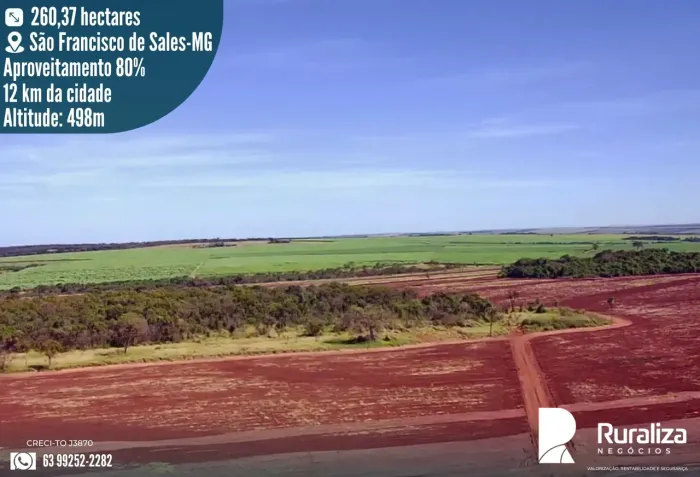 260 HA | 203 HA CULTIVADOS | 80% APROVEITÁVEL