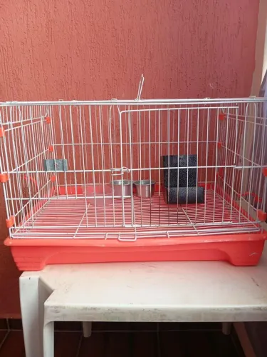 Gaiola para Coelho