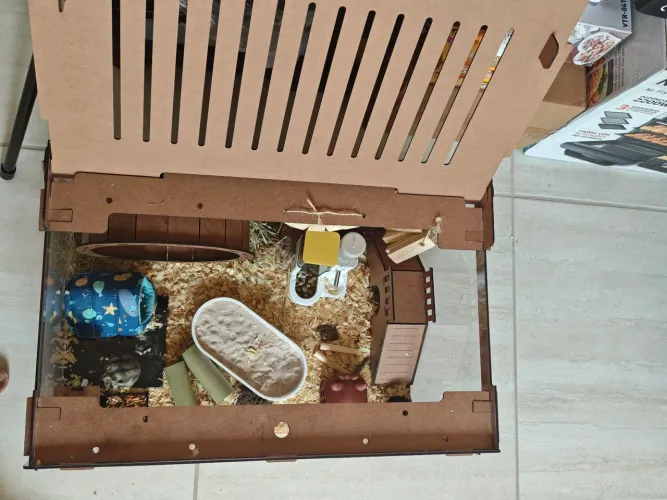 Hamster e terrário 