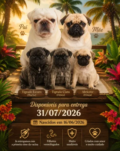 Pug legítimo