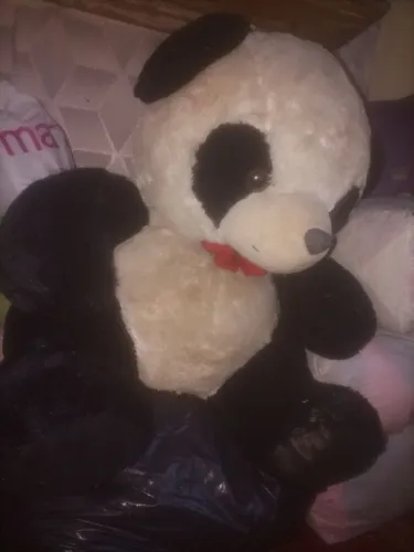 Urso panda