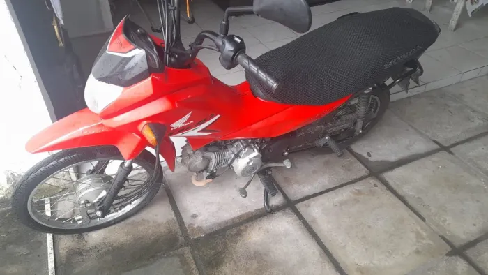 Honda Pop 2024