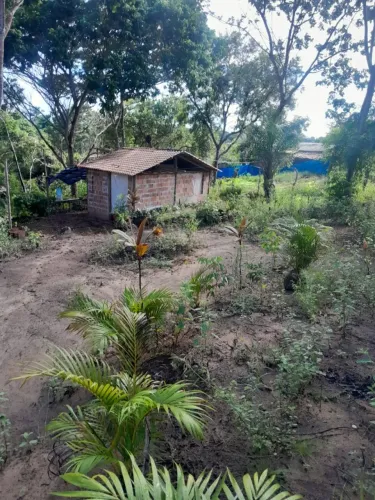 VENDO TERRENO EM CURRALINHO LINHA VERDE