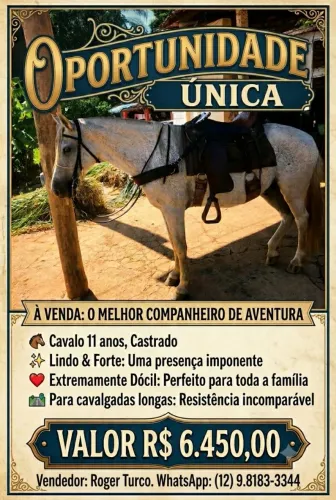 Cavalo Mangalarga Marchador. Lindo,  forte. Extremamente dócil. 