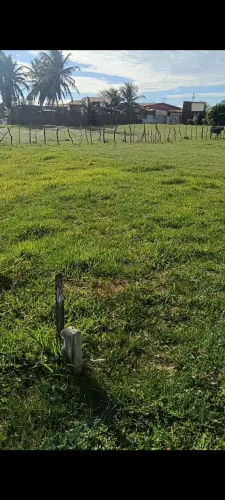 Terreno vendo e troco