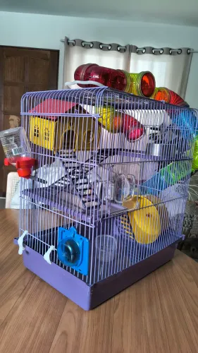 Gaiola para hamster completa