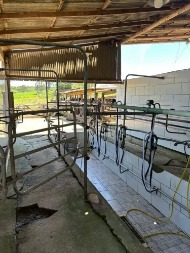 Ordenhadeira GEA 4 conjuntos