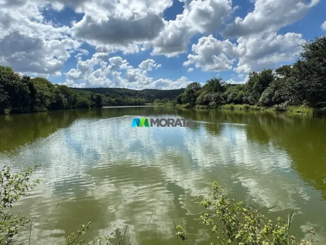 FAZENDA À VENDA - 202 HECTARES - ONÇA DE PITANGUI (MG)