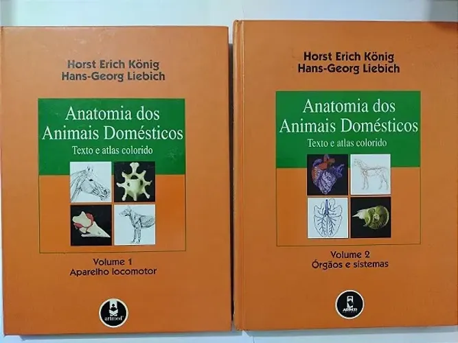 LIVRO ANATOMIA VOL 1 E 2 (ÓTIMO ESTADO)