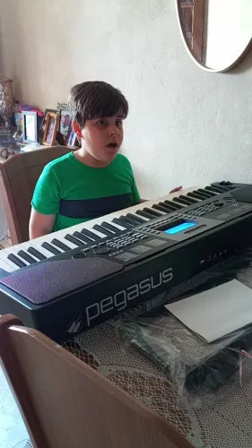 Teclado pegasus p222