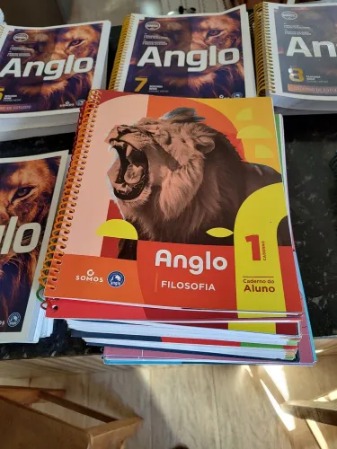 VENDO CADERNOS ESTUDO ANGLO 1a e 2a SÉRIE COMPLETOS