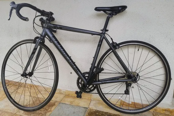 Bike speed, Endorphine fast 20.